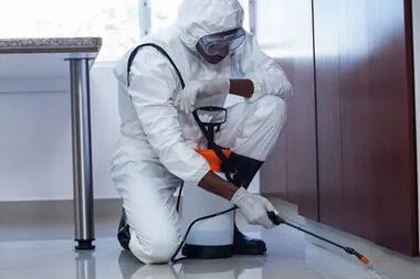 spotlessclean-pest-control-services