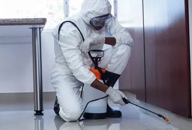 spotlessclean-pest-control-services spotlessclean-pest-control-services