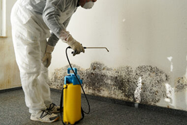 spotlessclean-water-damage-restoration