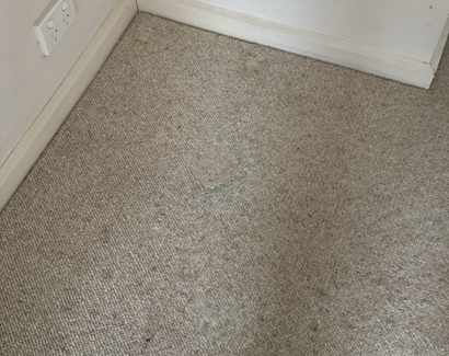 Carpet Repair After