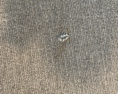 Carpet Repair Before