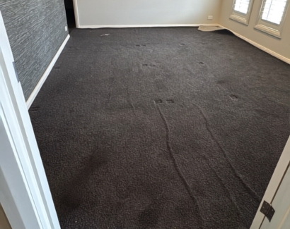 Carpet Repair Before