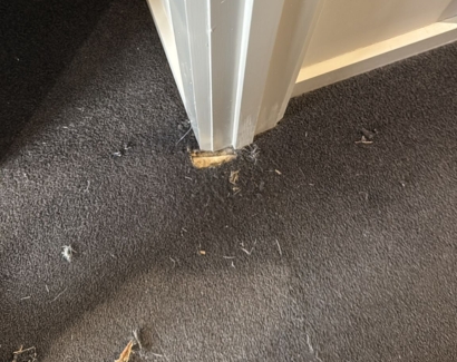 Carpet Repair Before
