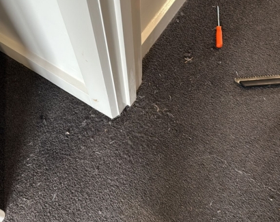 Carpet Repair After