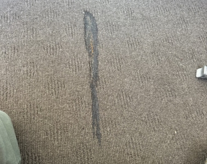 Carpet Repair Before